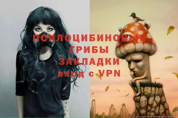 МДПВ Аркадак